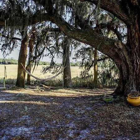 Secluded Tiny House By The Marsh With Hunting Island Beach Pass Frogmore Exteriér fotografie